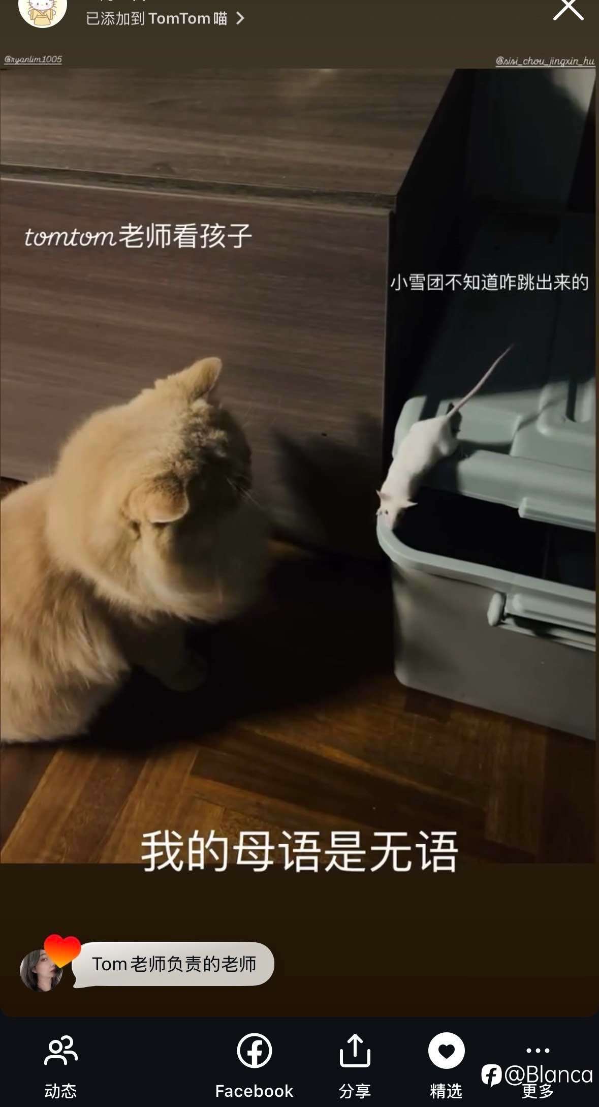 最近分享