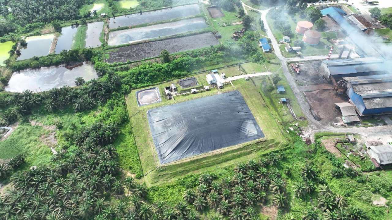 PalmCo Tawarkan Skema Pembelian Kredit Karbon, Mulai Rp 150 Ribu Per Ton