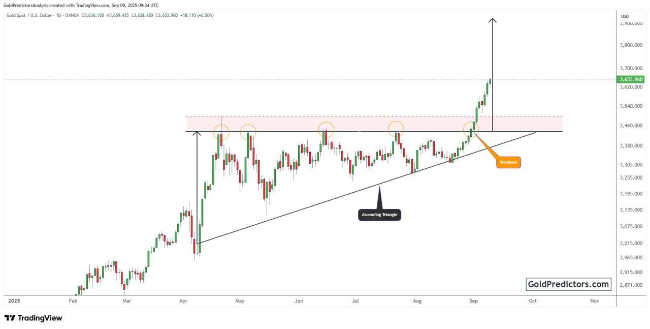 Gold hits new highs as soft jobs data and rate-cut hopes drive demand