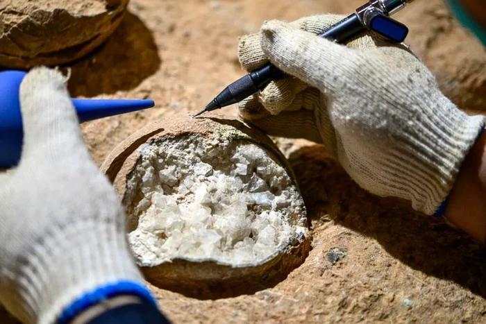 Ilmuwan Berhasil Ungkap Usia Telur Dinosaurus dengan Akurat