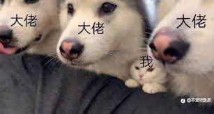 一份“又菜又爱玩”的比赛流水账：谢谢黄金，下次别锤我了