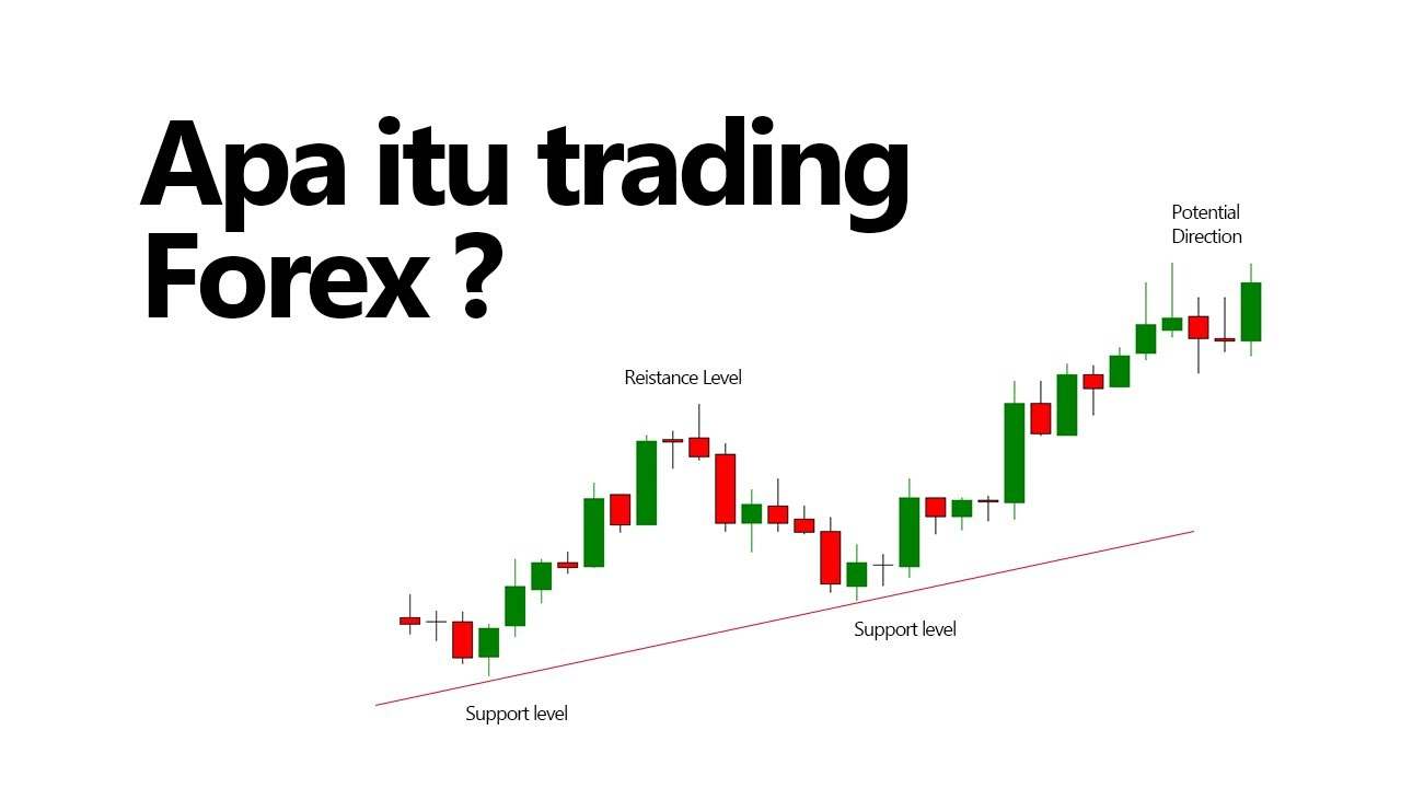 Dasar Dasar Trading Forex untuk Pemula