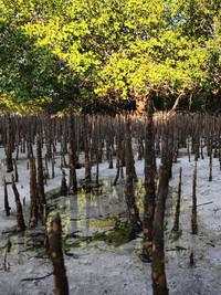 Merekam Keindahan Sumba Pakai Xiaomi 15T