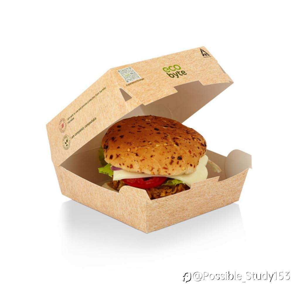 Compostable Burger Boxes | Plastic-Free & Grease-Resistant