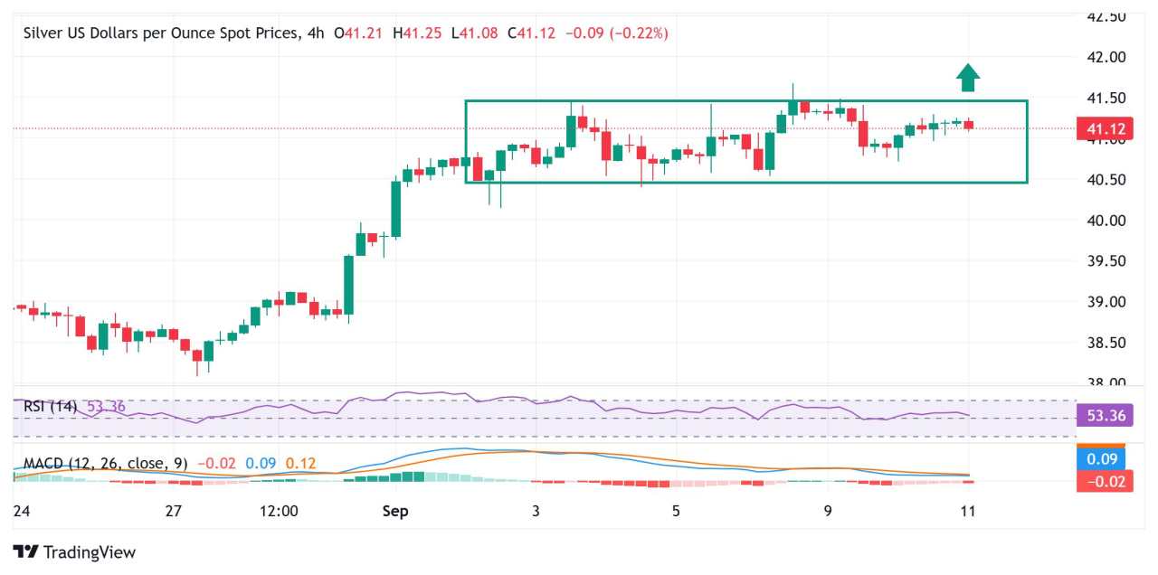 Silver Price Forecast: XAG/USD consolidates above $41.00, bulls await trading range breakout