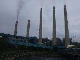 Siapa Pemilik Saham CNKO? Supplier Batu Bara PLN, Ini Pengendali Sahamnya