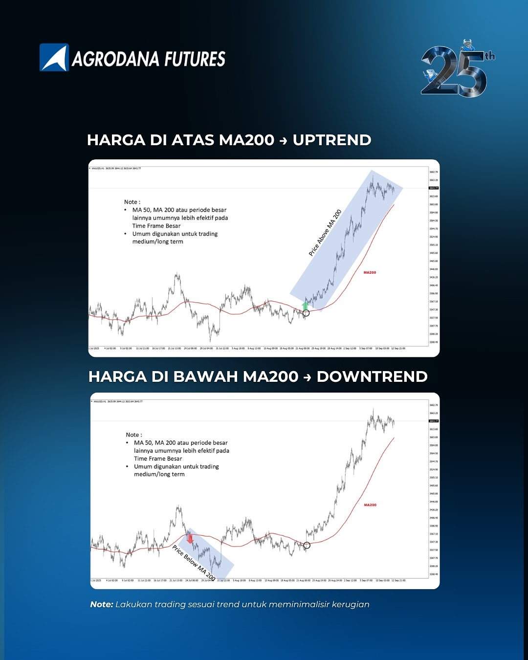 feed-image-2