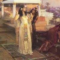 Tragedi Nyata! Tokoh Terkenal Dunia yang Tewas Tragis Akibat Hewan