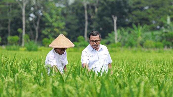Dukung Produktivitas Pertanian, Pupuk Kaltim Perluas Cakupan Agrosolution
