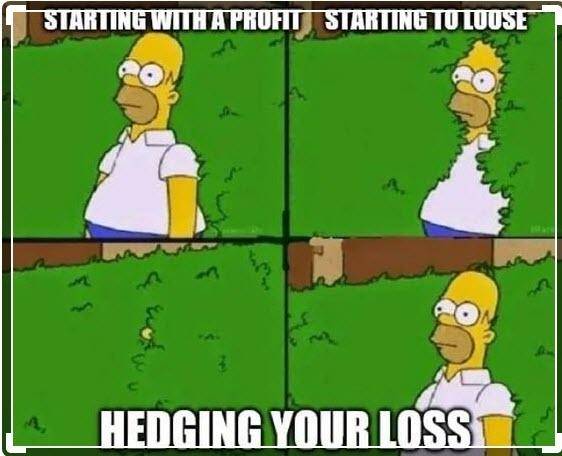 Pertama kali coba hedging forex