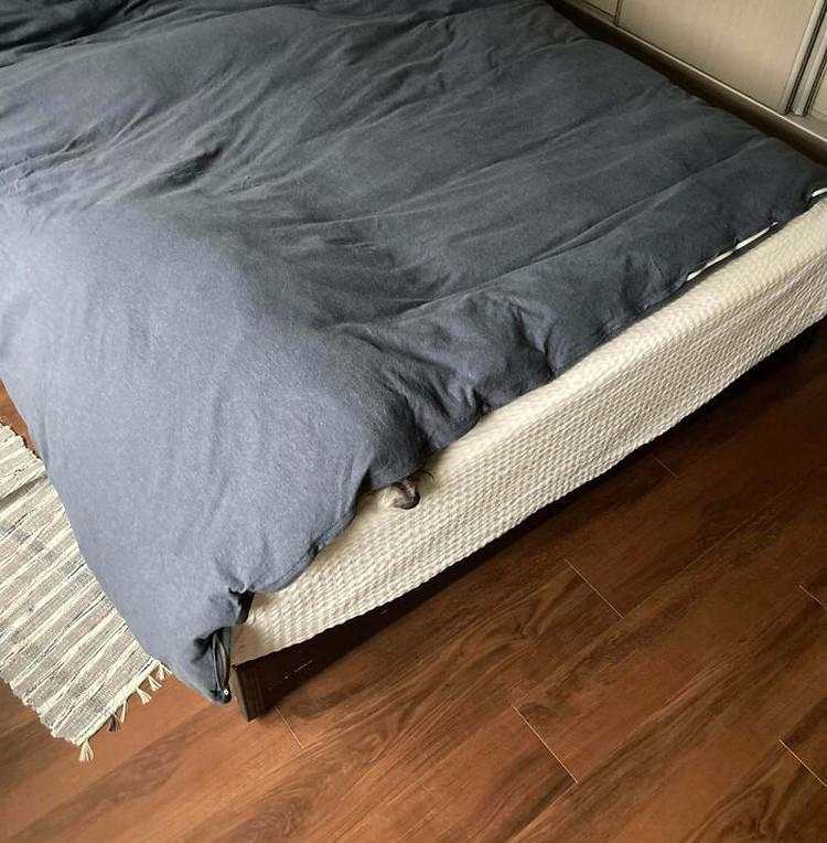 Kala Hewan Lucu Jadi Ninja, Ngumpet di Tempat 'Out of the Box'