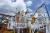 Saham PANI Roller Coaster Jelang Rights Issue, Analis Ungkap Target Jangka Pendek