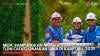 MedcoEnergi (MEDC) Pasang 1.500 Panel Surya di Blok Corridor, Tekan Emisi hingga 934 Ton CO2e