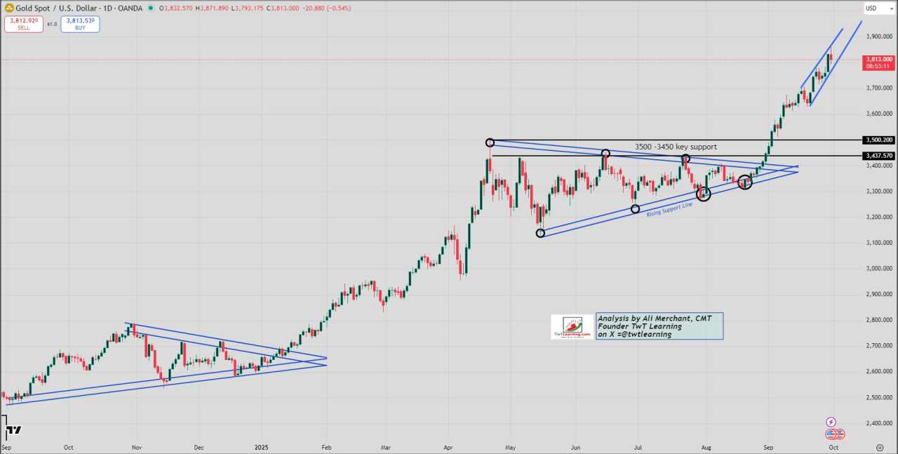 Gold peaks at record, eyes best month in 14-years — Rally pauses as shutdown fears roil markets