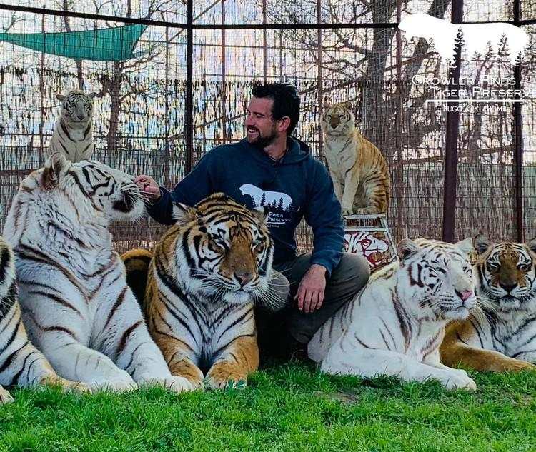 Tragedi Nyata! Tokoh Terkenal Dunia yang Tewas Tragis Akibat Hewan