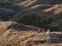 Merekam Keindahan Sumba Pakai Xiaomi 15T