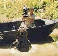 Tragedi Nyata! Tokoh Terkenal Dunia yang Tewas Tragis Akibat Hewan