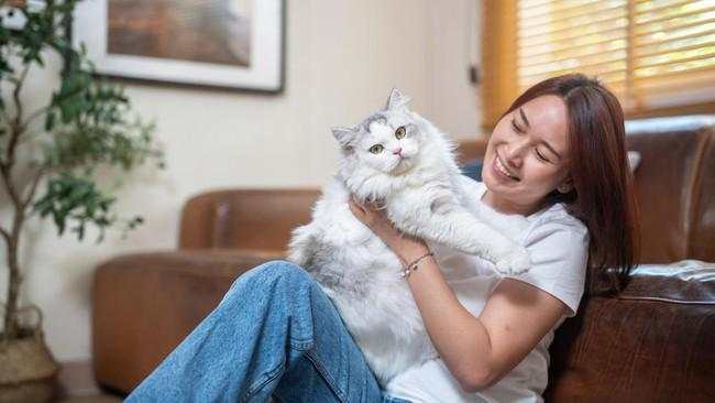 Studi: Cara Terbaik Bangun Ikatan Kimiawi dengan Kucing Kamu