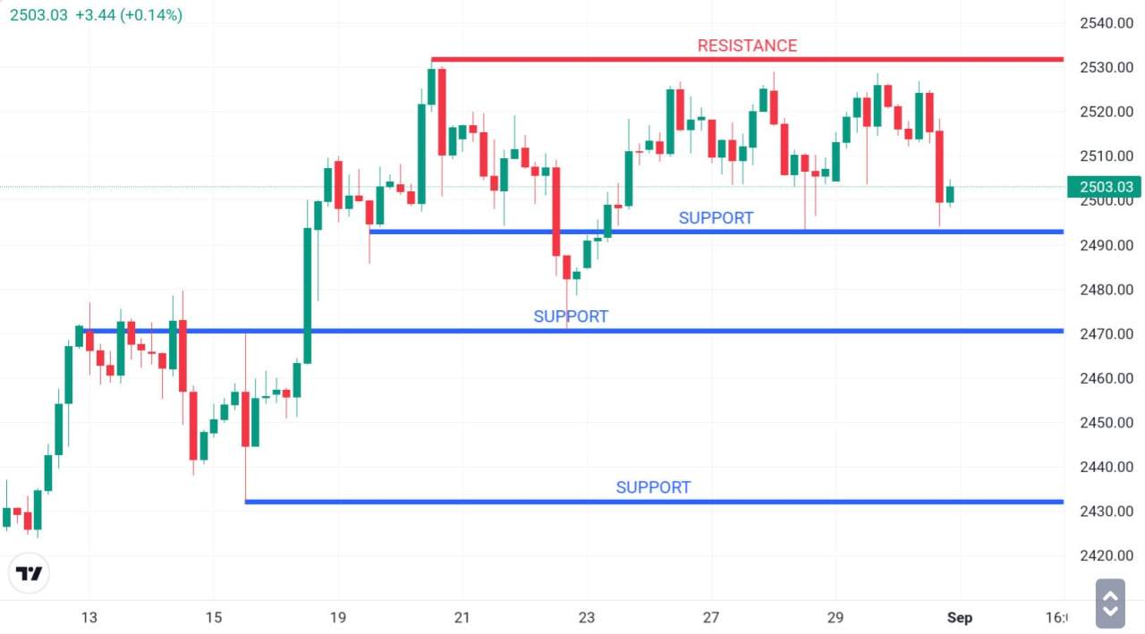 SNR Forex: Kunci Membaca Arah Harga di Trading