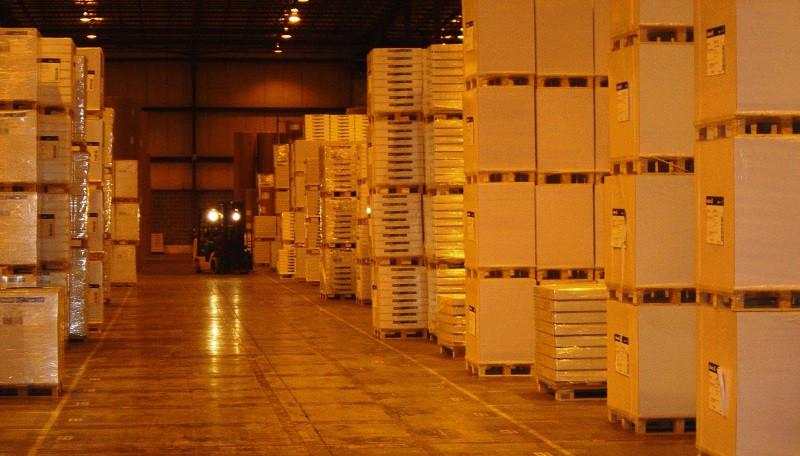 Sektor Unggas Prospektif Berkat Program MBG, Analis Soroti Saham CPIN