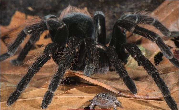 Deretan Foto Punya Cerita Mengejutkan hingga Mengerikan