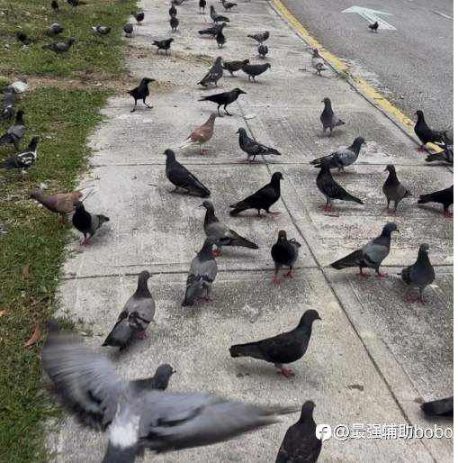 平平无奇的一天