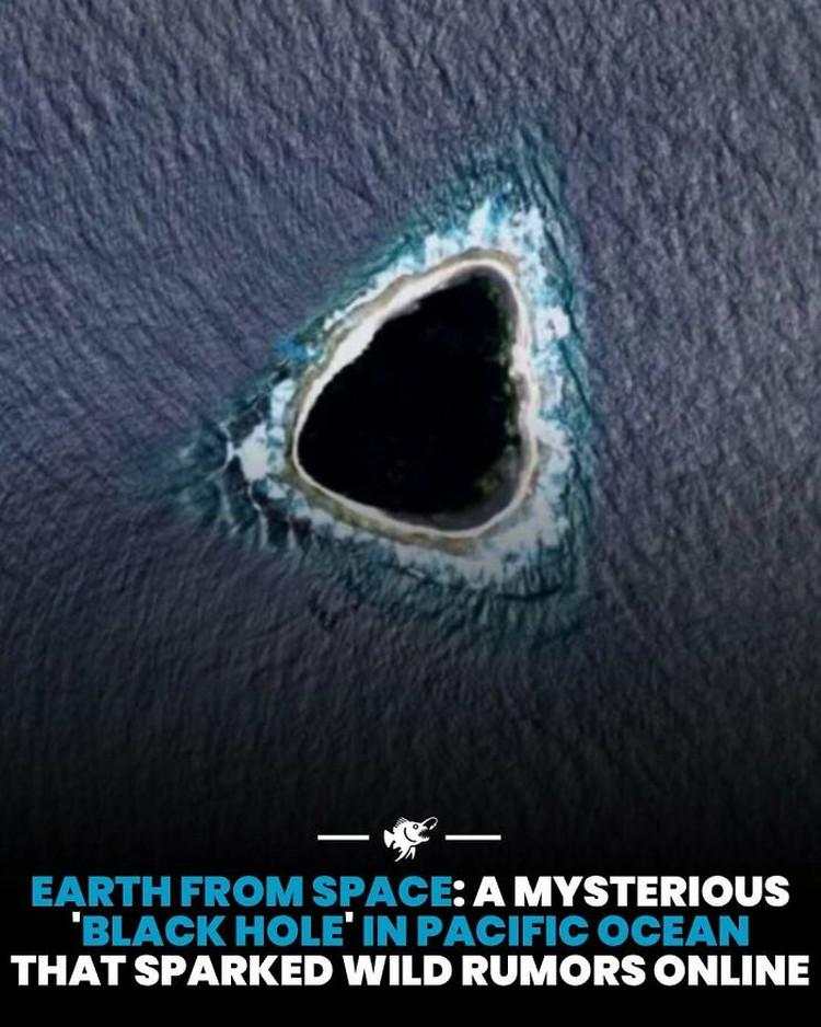 Hal-hal Aneh yang Diposting Orang di Internet, Kamu Mungkin Belum Tahu