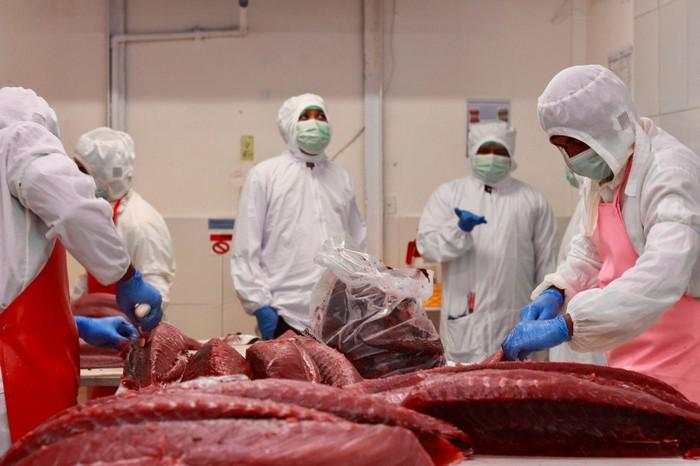 AS Percayakan KKP sebagai Certifying Entity untuk Udang Indonesia