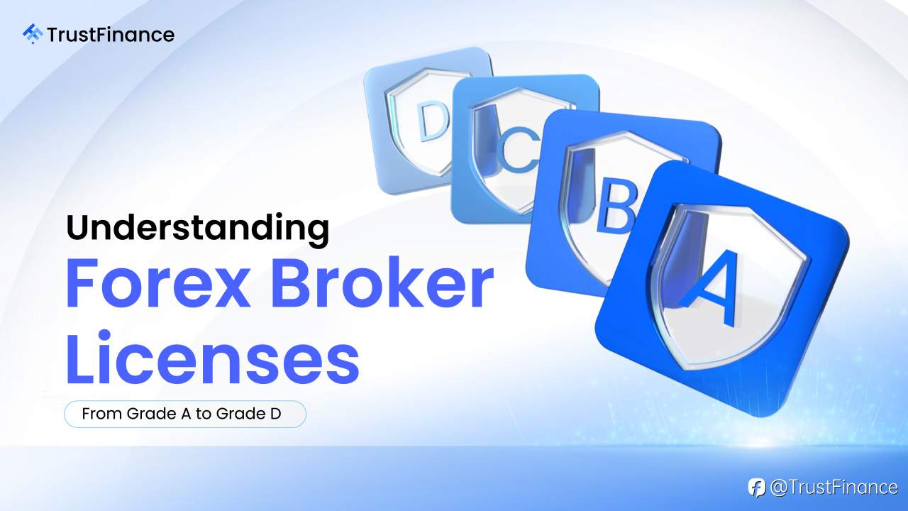 Understanding Forex Broker Licenses: Grade A-D