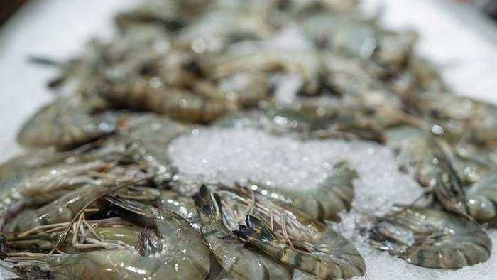Sempat Geger Terpapar Radioaktif, Udang RI Bisa Diekspor dengan Syarat Ketat