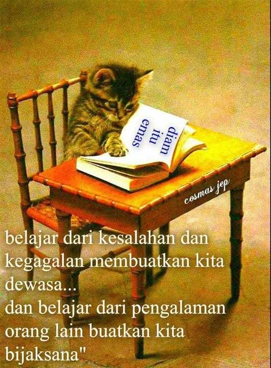 Belajar dari Kesalahan