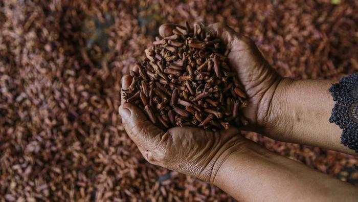 Aturan Kemasan Rokok Baru Picu Polemik