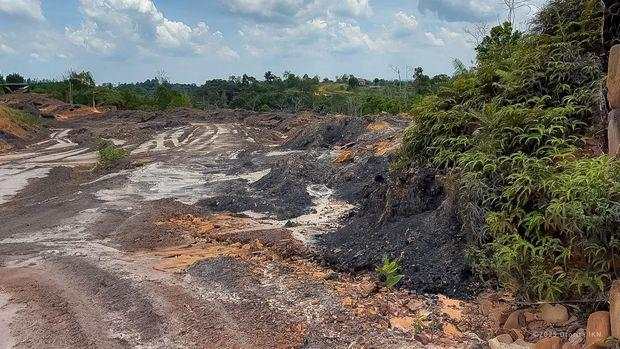 Terungkap! Ada Tambang Batu Bara Ilegal-Perambahan Hutan di Kawasan IKN