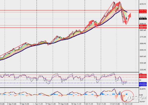 TMGM每日市场10月23日