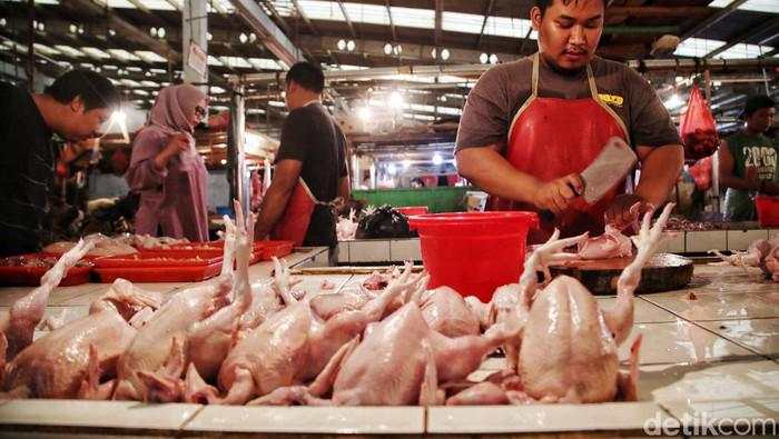 Harga Ayam Disebut Melonjak Gara-gara Program MBG