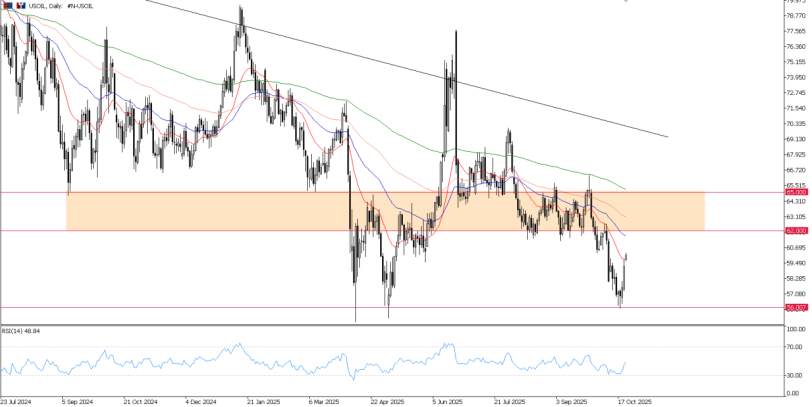 2025年10月23日市场报告