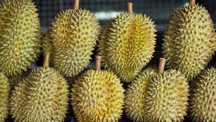 DPR Soroti Maraknya Durian Ilegal Malaysia, Rugikan Petani Lokal