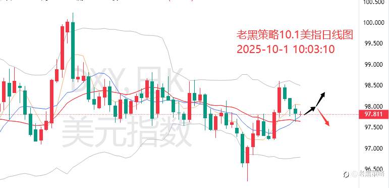 老黑策略：10.1外汇、黄金、原油分析策略