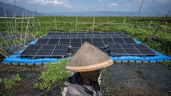 PLTS Terapung Rawa Pening, Inovasi Hijau untuk Pertanian Berkelanjutan