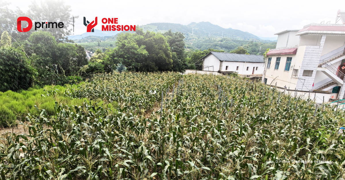 交易筑善过半程！D Prime 慈善合伙人助力云县特教学校运动场梦想