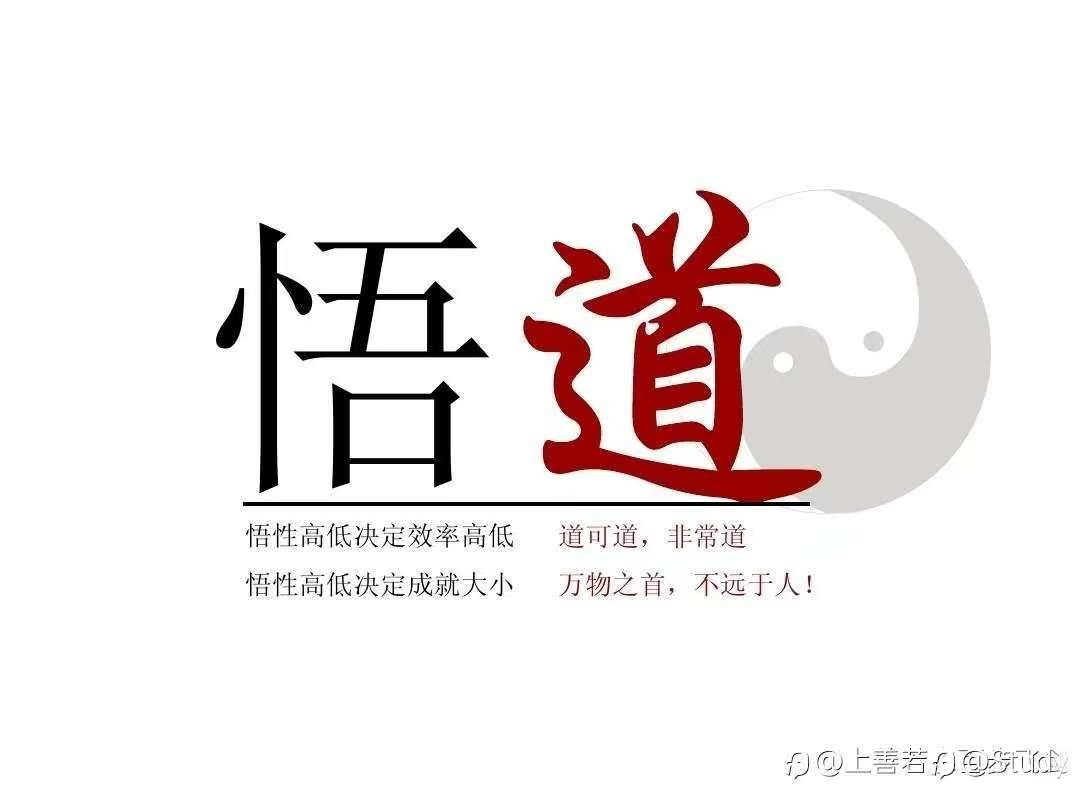 交易员十个段位解析