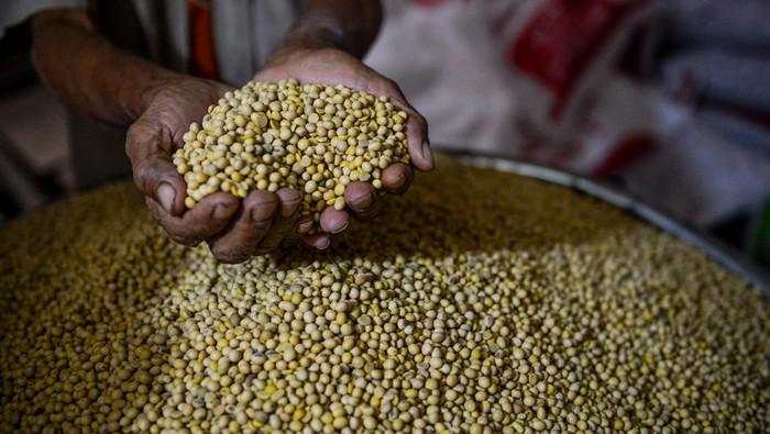 Kementan Gandeng TNI Garap Lahan 10.000 Ha buat Geber Produksi Kedelai