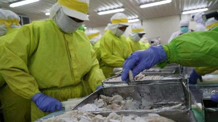 Ekspor Udang & Cengkeh RI ke AS Wajib Sertifikat Bebas Radiasi