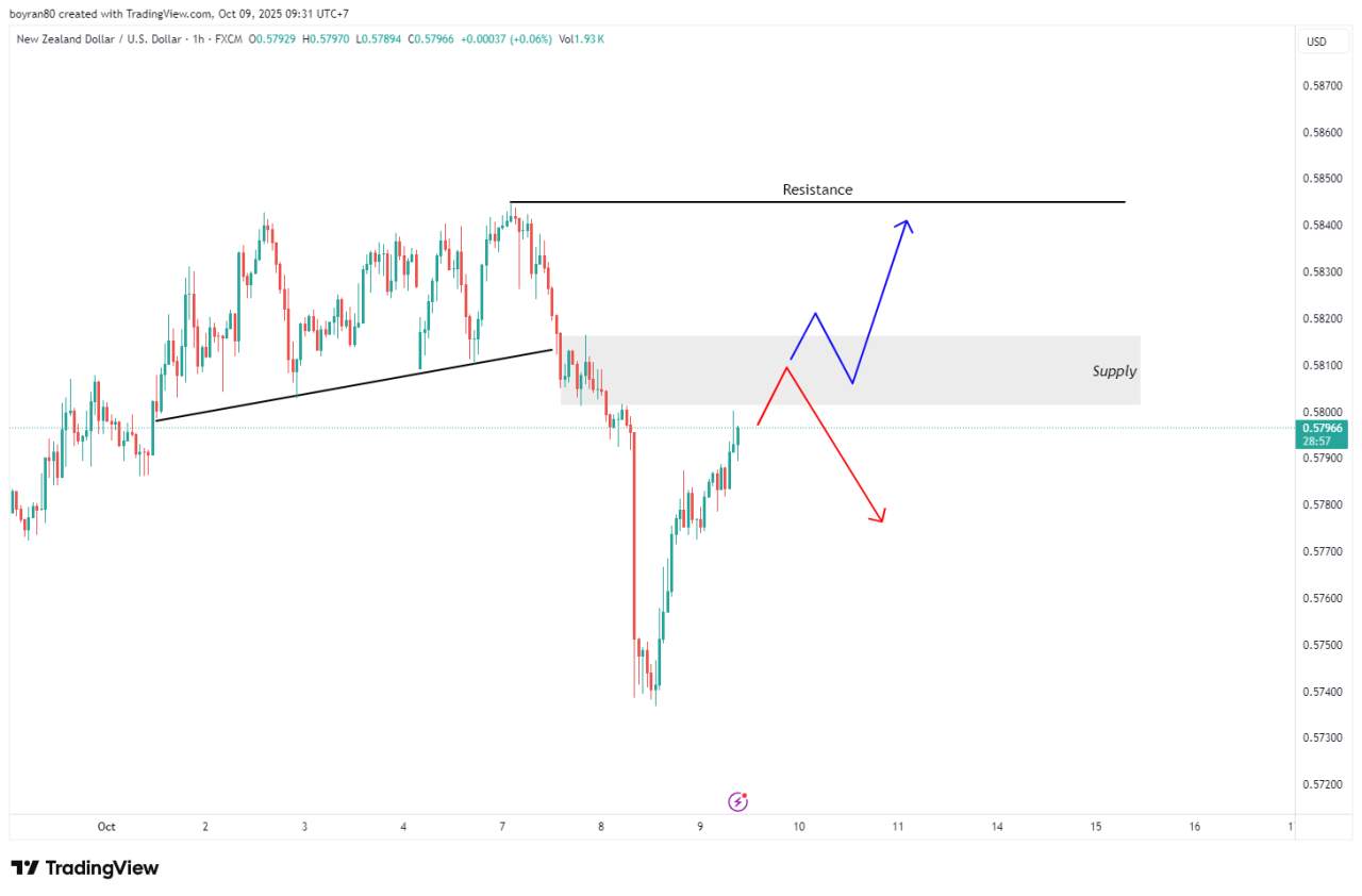 Crypto & Forex Hari Ini Panas! Litecoin Uji EMA 50, NZD/USD di Zona Supply — Arah Besar Segera Terbentuk!
