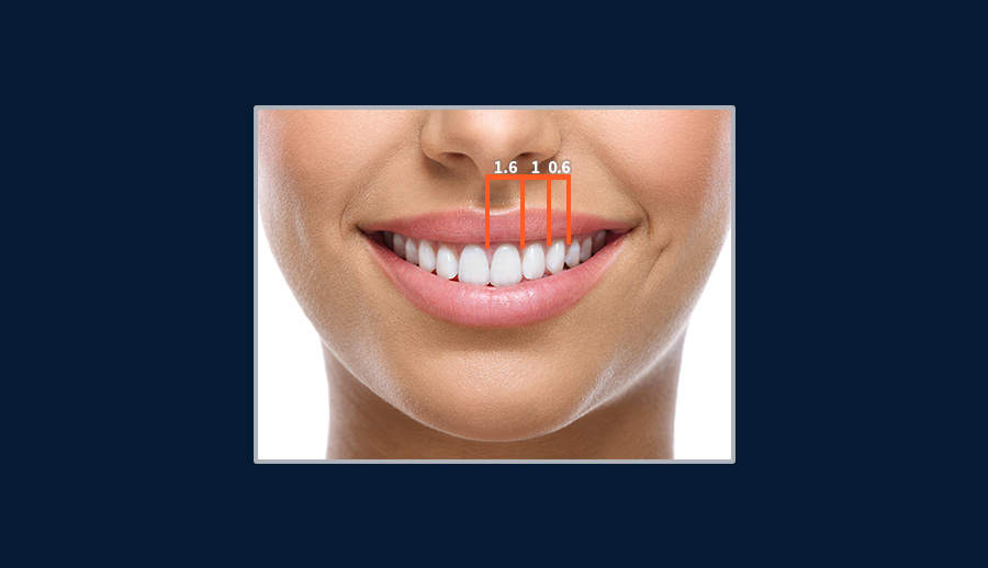 外汇交易方法 之 斐波那契交易法