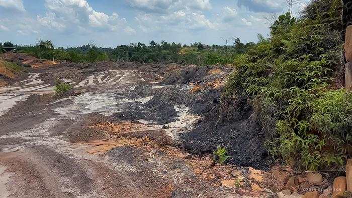 Terkuak! Tambang Ilegal di IKN Luasnya 4.000 Ha