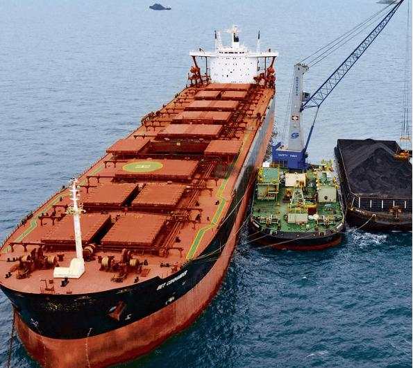 Saham SGER Bergerak di Bidang Apa? Inilah Bisnis Utama dan Kinerja Harganya