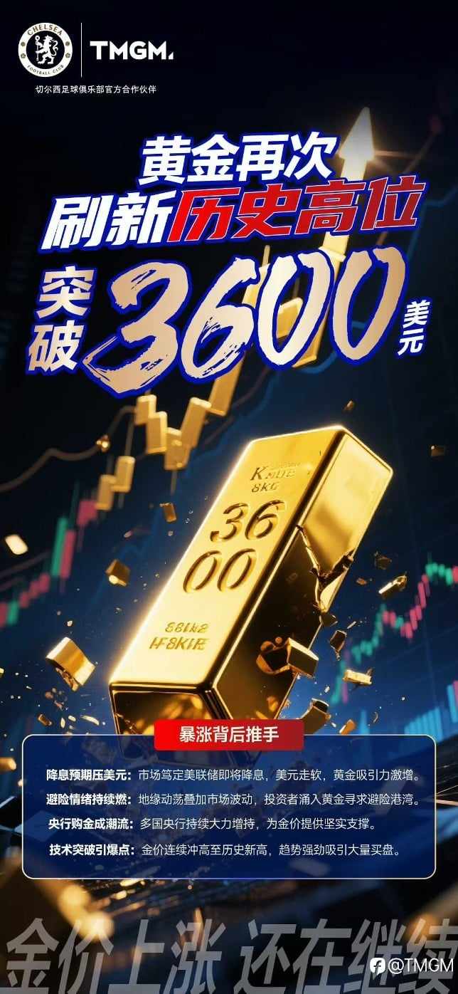 TMGM首届交易联赛定榜! 23万美金礼赞交易精英,TMGM邀冠军共赴澳门篮球盛宴