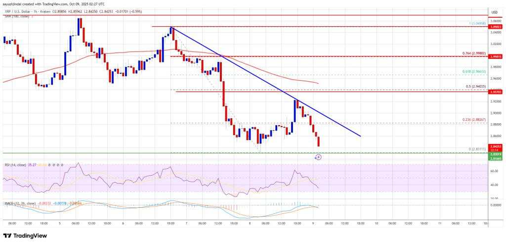 XRP Price Slips Lower – Bears Could Trigger A Sharp Decline If Support Breaks
