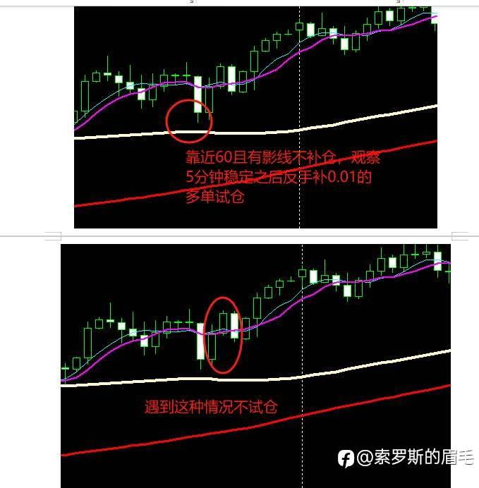 feed-image-2